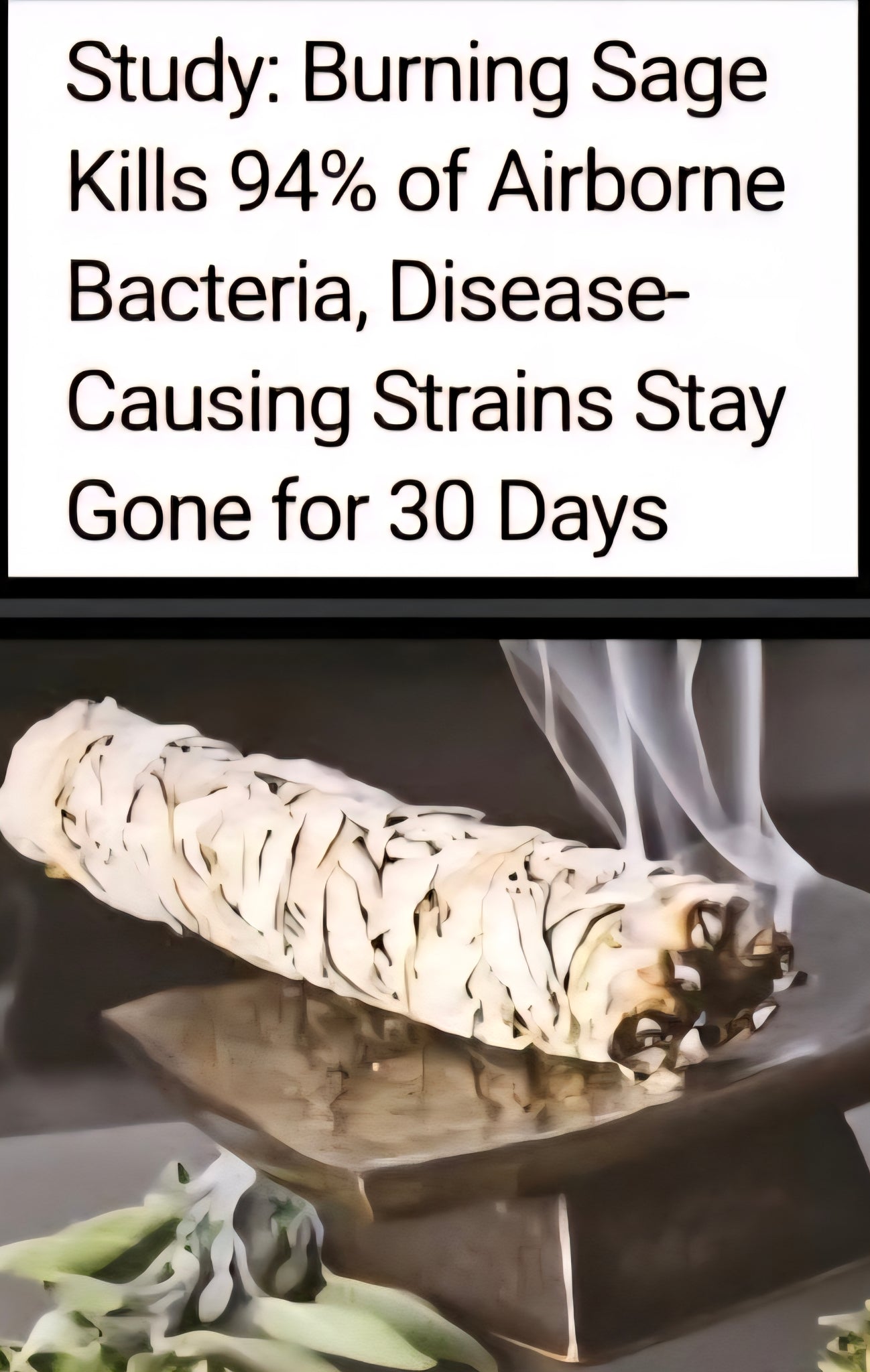 White sage smudge sticks